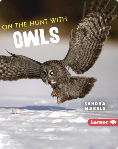 Ultimate Predators: On the Hunt with Owls