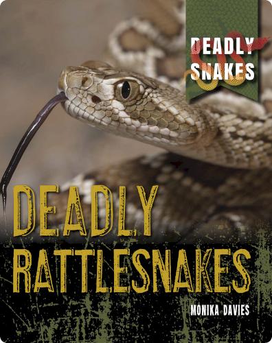 Deadly Snakes: Deadly Rattlesnakes