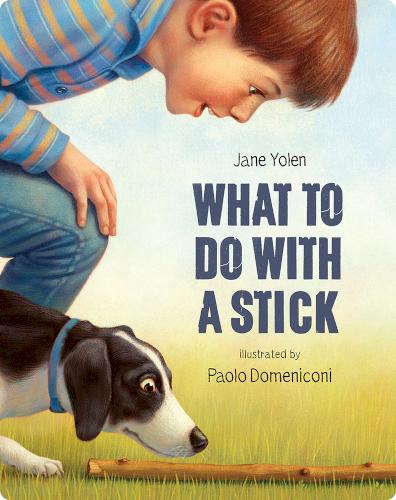 What to Do with a Stick