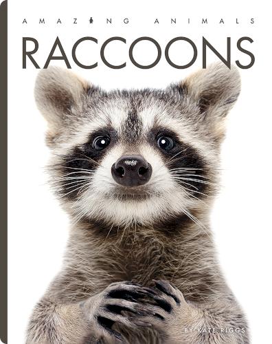 Amazing Animals: Raccoons