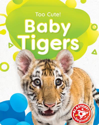 Baby Tigers