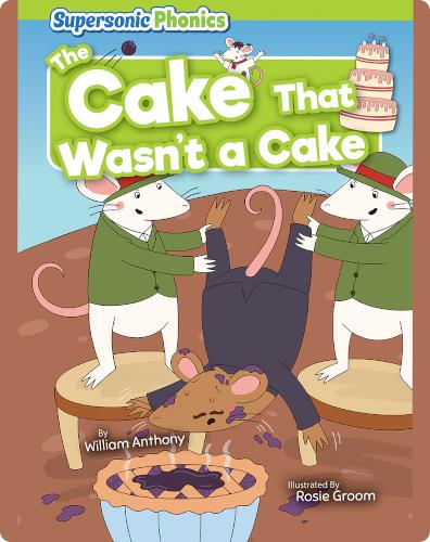 The Cake That Wasn't a Cake