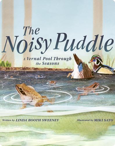 The Noisy Puddle: A Vernal Pool Through the Seasons
