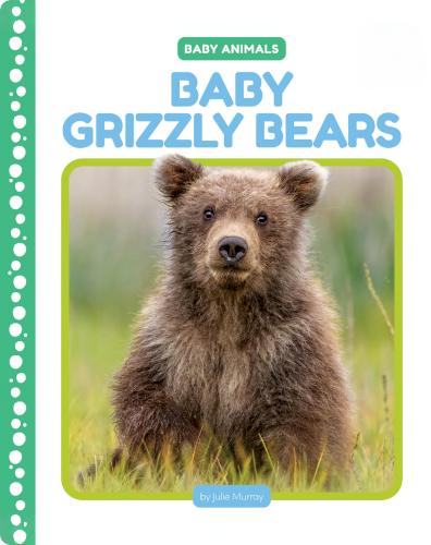 Baby Grizzly Bears