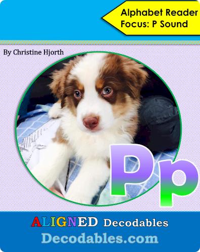Pp Book
