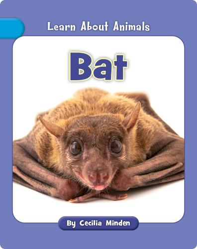 Bat