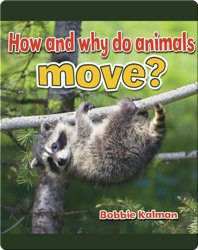 How and Why do Animals Move?