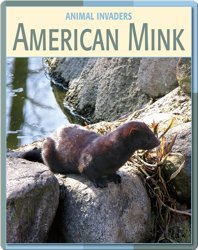 Animal Invaders: American Mink