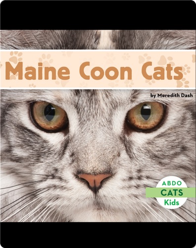 Maine Coon Cats