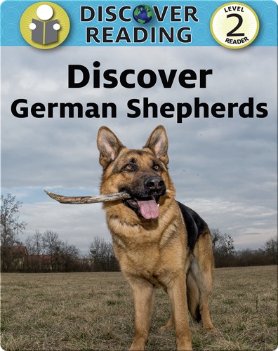 Discover German Shepherds