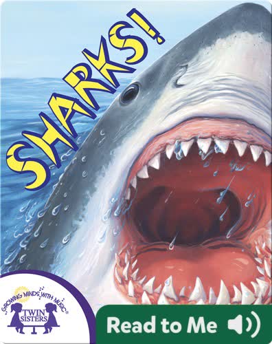 Know It Alls! Sharks
