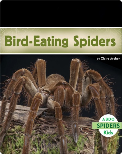 Bird-Eating Spiders