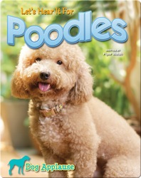 Let's Hear It For Poodles