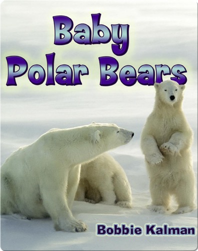 Baby Polar Bears