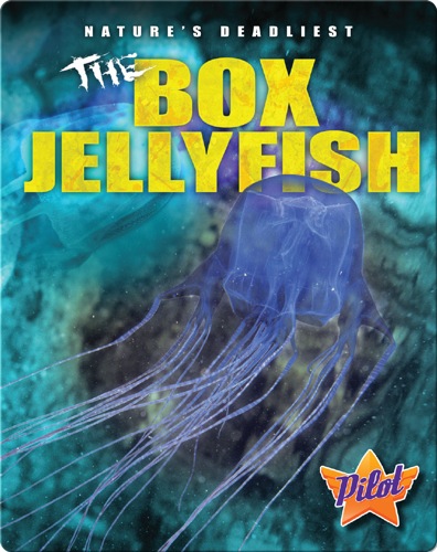 The Box Jellyfish