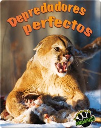 Depredadores Perfectos