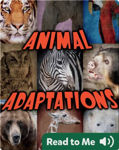 Animal Adaptations