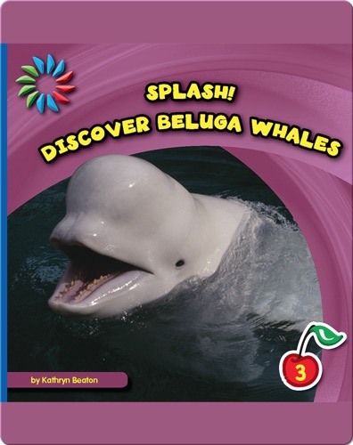 Discover Beluga Whales