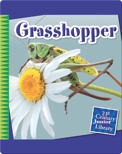 Grasshopper