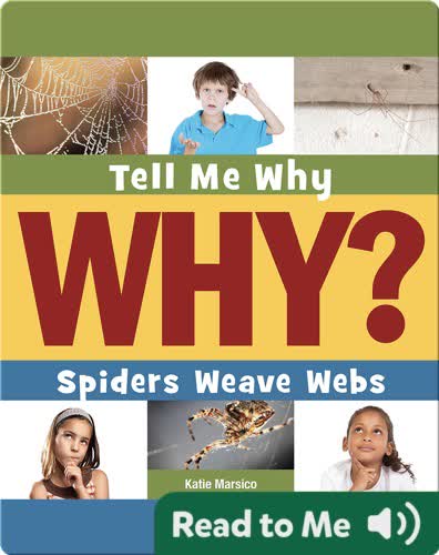 Spiders Weave Webs