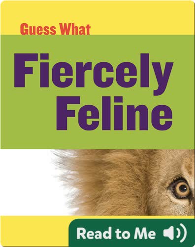 Fiercely Feline