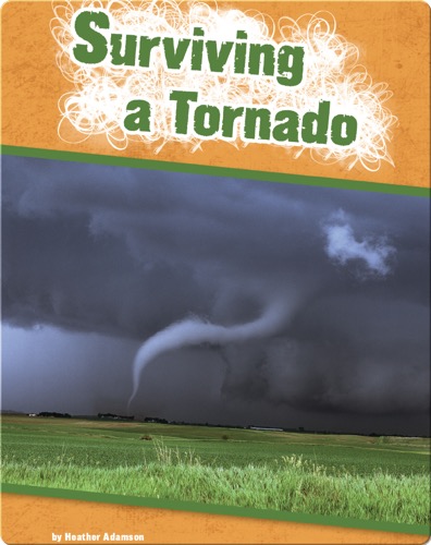Surviving a Tornado