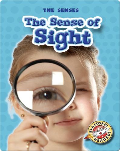 The Sense of Sight