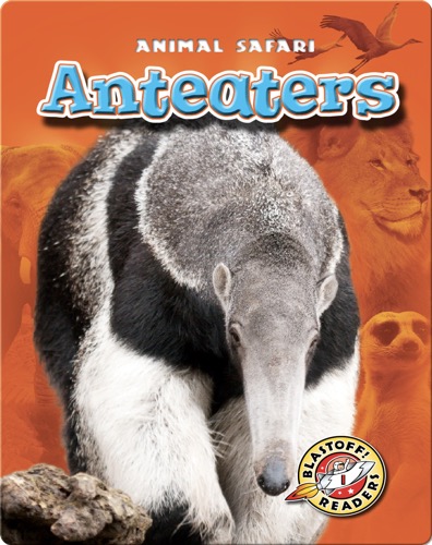Anteaters