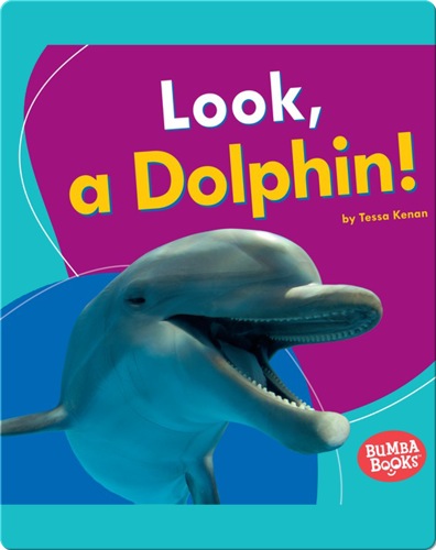 Look, a Dolphin!