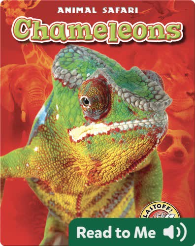 Chameleons
