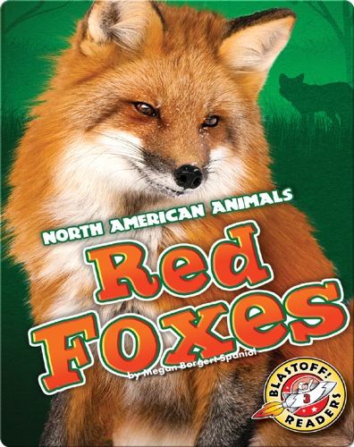 Red Foxes