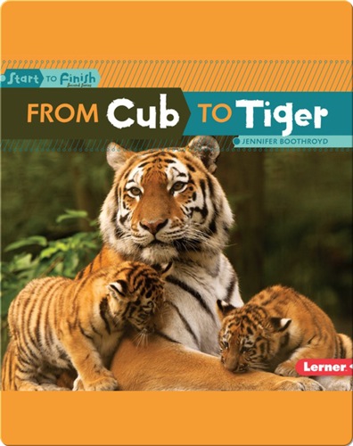 From Cub to Tiger