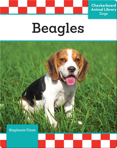 Beagles