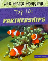 Top 10: Partnerships