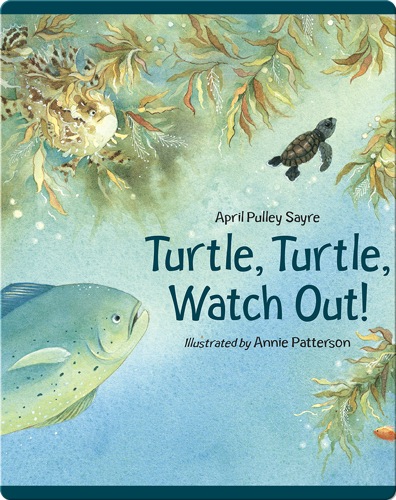 Turtle, Turtle, Watch Out!