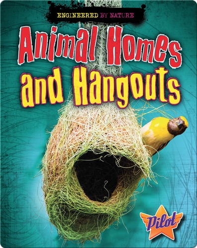 Animal Homes and Hangouts