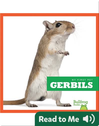 My First Pet: Gerbils