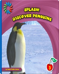 Discover Penguins
