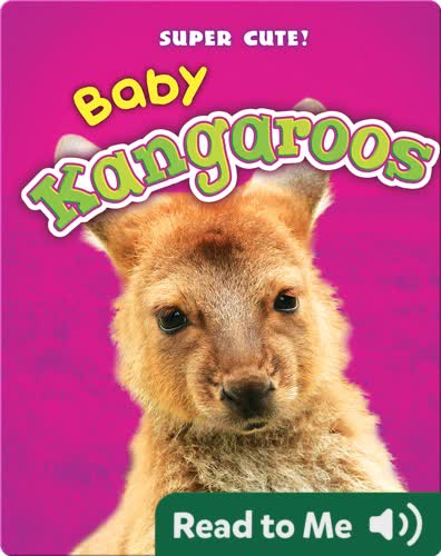Super Cute! Baby Kangaroos