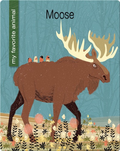 Moose
