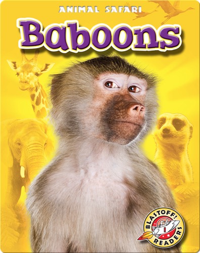 Baboons: Animal Safari