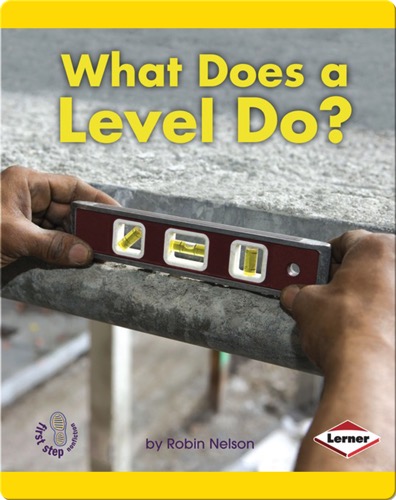 What Does a Level Do?