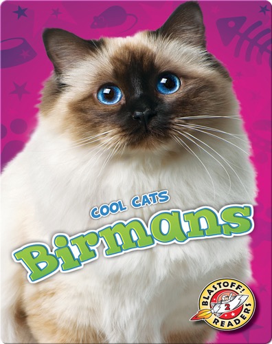 Birmans