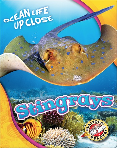 Stingrays
