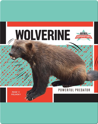 Wolverine: Powerful Predator