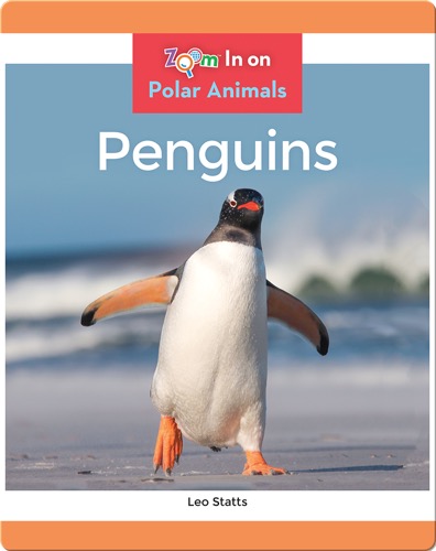 Penguins