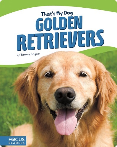 Golden Retrievers