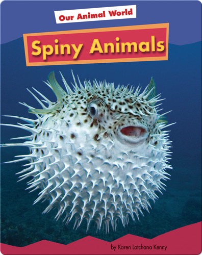 Spiny Animals