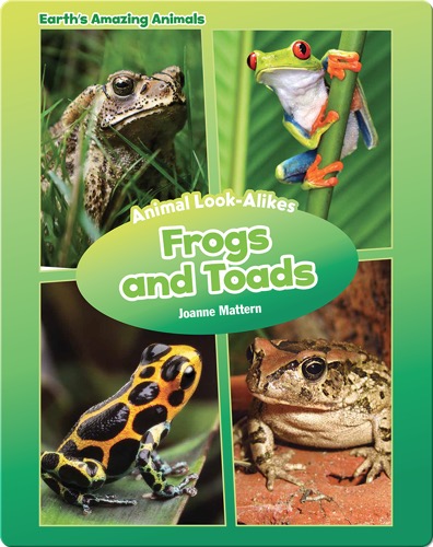 Frogs and Toads