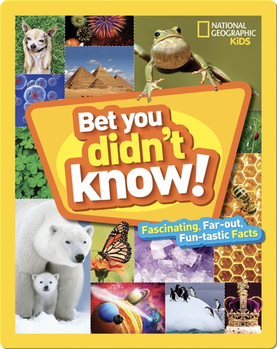 Bet You Didn't Know: Fascinating, Far-out, Fun-tastic Facts!